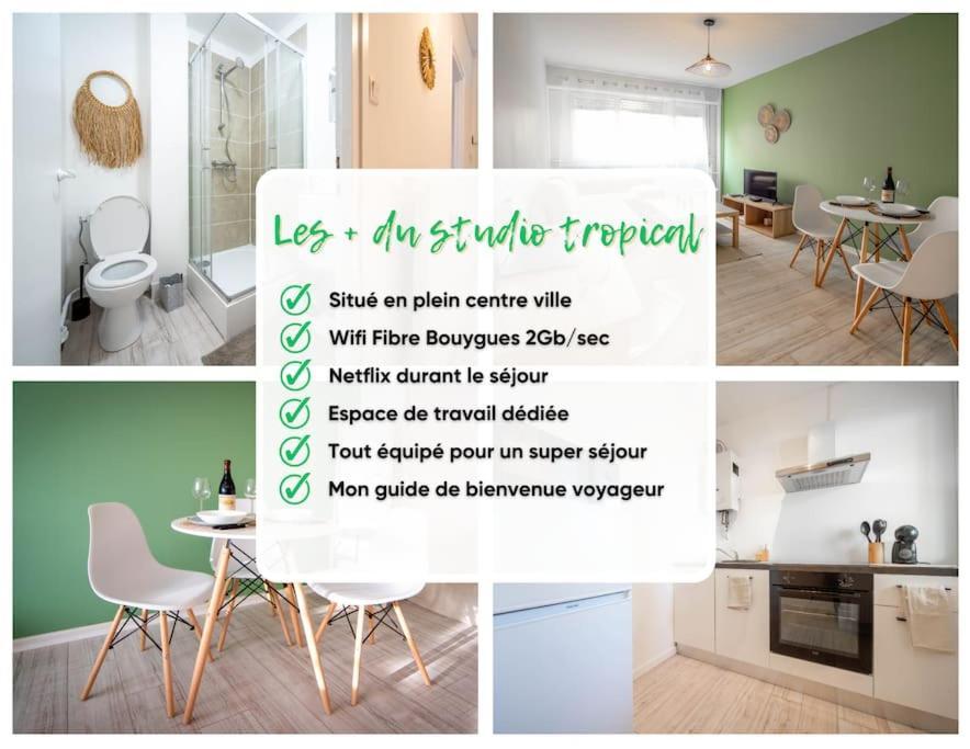 Le Studio Tropical Chalon-sur-Saône Buitenkant foto